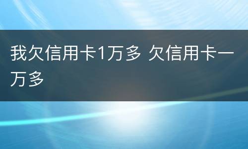 我欠信用卡1万多 欠信用卡一万多
