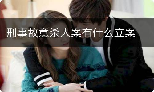 刑事故意杀人案有什么立案