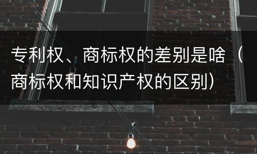 专利权、商标权的差别是啥（商标权和知识产权的区别）