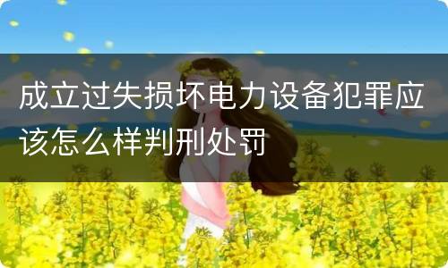 成立过失损坏电力设备犯罪应该怎么样判刑处罚