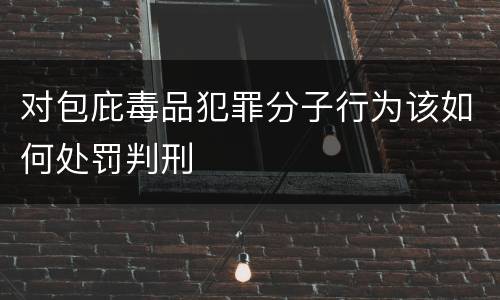 对包庇毒品犯罪分子行为该如何处罚判刑