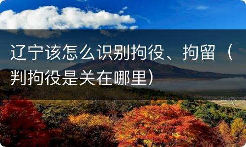 辽宁该怎么识别拘役、拘留（判拘役是关在哪里）