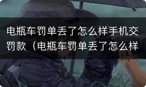 电瓶车罚单丢了怎么样手机交罚款（电瓶车罚单丢了怎么样手机交罚款呢）