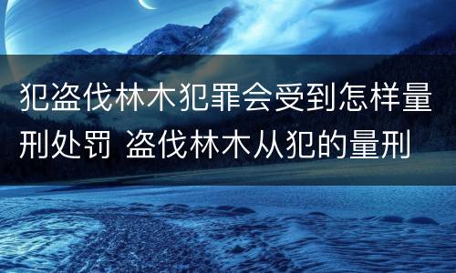 犯盗伐林木犯罪会受到怎样量刑处罚 盗伐林木从犯的量刑