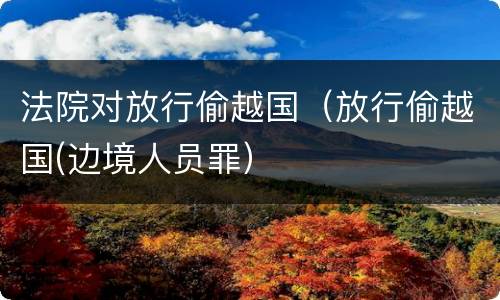 法院对放行偷越国（放行偷越国(边境人员罪）