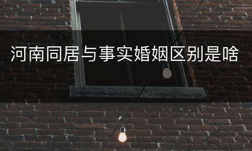 河南同居与事实婚姻区别是啥