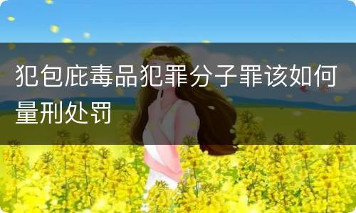 犯包庇毒品犯罪分子罪该如何量刑处罚