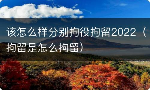该怎么样分别拘役拘留2022（拘留是怎么拘留）
