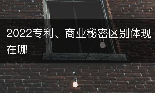 2022专利、商业秘密区别体现在哪