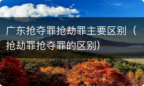 广东抢夺罪抢劫罪主要区别（抢劫罪抢夺罪的区别）