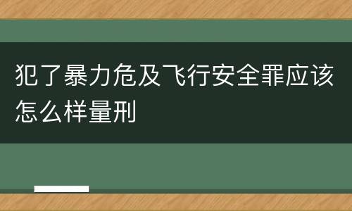 犯了暴力危及飞行安全罪应该怎么样量刑