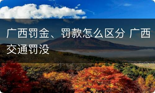 广西罚金、罚款怎么区分 广西交通罚没