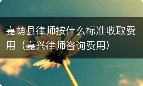 嘉荫县律师按什么标准收取费用（嘉兴律师咨询费用）