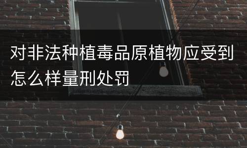 对非法种植毒品原植物应受到怎么样量刑处罚