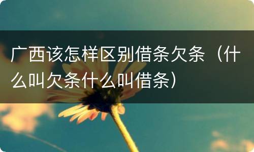 广西该怎样区别借条欠条（什么叫欠条什么叫借条）