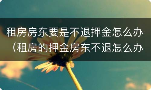 租房房东要是不退押金怎么办（租房的押金房东不退怎么办）