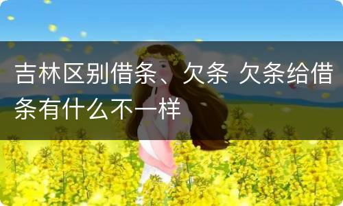 吉林区别借条、欠条 欠条给借条有什么不一样