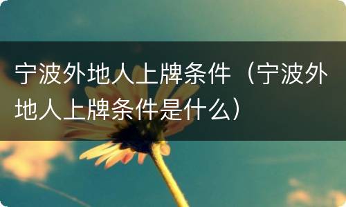 宁波外地人上牌条件（宁波外地人上牌条件是什么）