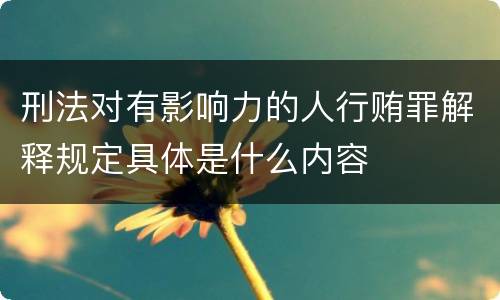 刑法对有影响力的人行贿罪解释规定具体是什么内容