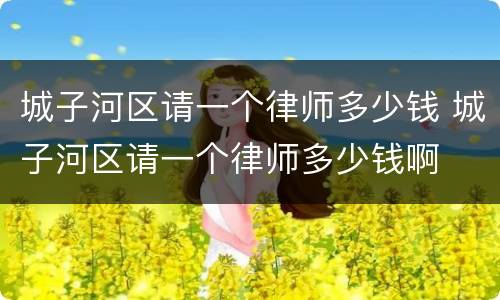 城子河区请一个律师多少钱 城子河区请一个律师多少钱啊