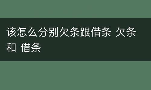 该怎么分别欠条跟借条 欠条 和 借条