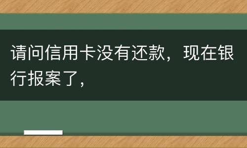请问信用卡没有还款，现在银行报案了，