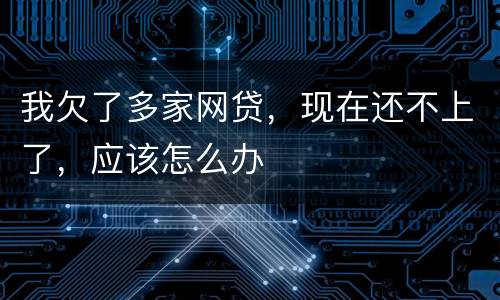 我欠了多家网贷，现在还不上了，应该怎么办