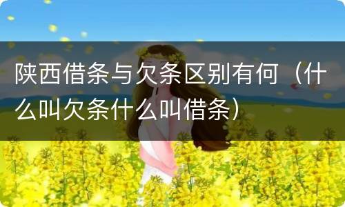 陕西借条与欠条区别有何（什么叫欠条什么叫借条）