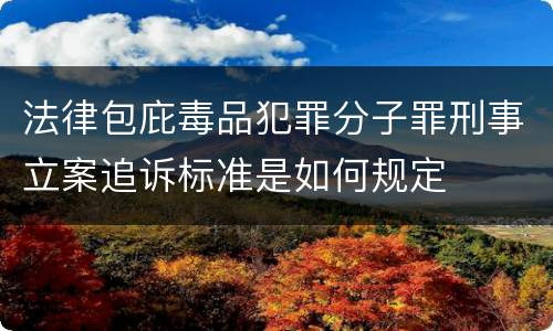 法律包庇毒品犯罪分子罪刑事立案追诉标准是如何规定