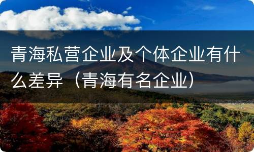 青海私营企业及个体企业有什么差异（青海有名企业）