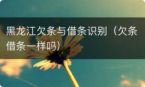 黑龙江欠条与借条识别（欠条借条一样吗）