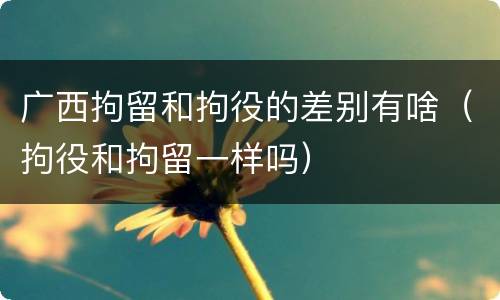 广西拘留和拘役的差别有啥（拘役和拘留一样吗）