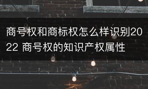 商号权和商标权怎么样识别2022 商号权的知识产权属性