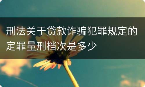 刑法关于贷款诈骗犯罪规定的定罪量刑档次是多少