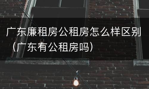 广东廉租房公租房怎么样区别（广东有公租房吗）