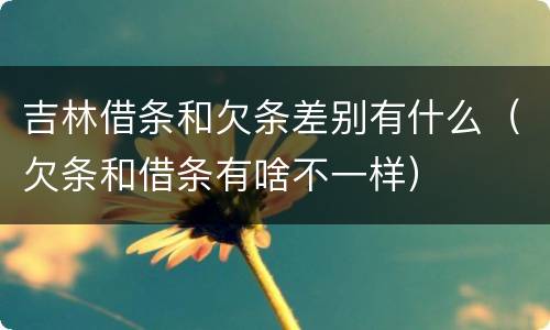 吉林借条和欠条差别有什么（欠条和借条有啥不一样）