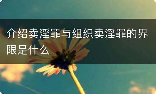 介绍卖淫罪与组织卖淫罪的界限是什么