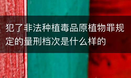 犯了非法种植毒品原植物罪规定的量刑档次是什么样的