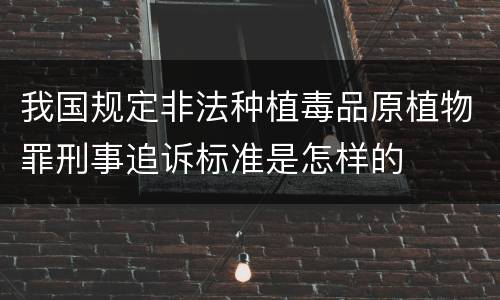 我国规定非法种植毒品原植物罪刑事追诉标准是怎样的