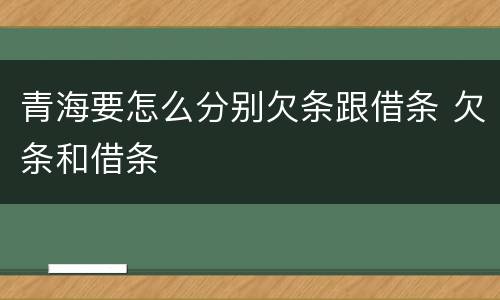 青海要怎么分别欠条跟借条 欠条和借条
