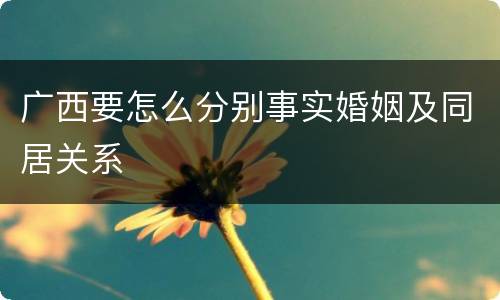 广西要怎么分别事实婚姻及同居关系