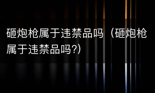 砸炮枪属于违禁品吗（砸炮枪属于违禁品吗?）