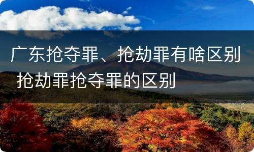 广东抢夺罪、抢劫罪有啥区别 抢劫罪抢夺罪的区别