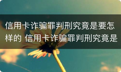 信用卡诈骗罪判刑究竟是要怎样的 信用卡诈骗罪判刑究竟是要怎样的程序