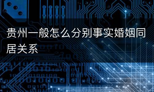 贵州一般怎么分别事实婚姻同居关系