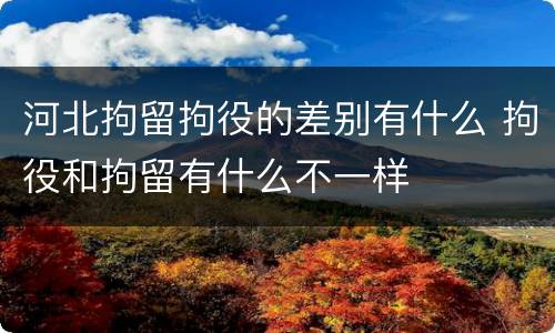 河北拘留拘役的差别有什么 拘役和拘留有什么不一样