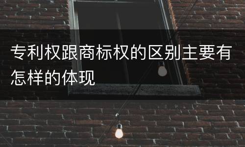 专利权跟商标权的区别主要有怎样的体现