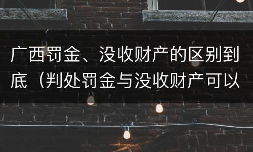 广西罚金、没收财产的区别到底（判处罚金与没收财产可以并罚吗）