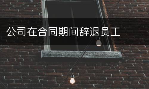 公司在合同期间辞退员工