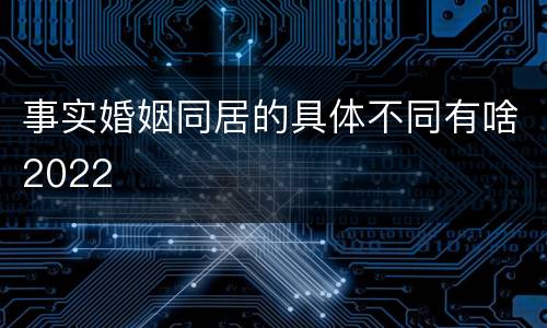 事实婚姻同居的具体不同有啥2022